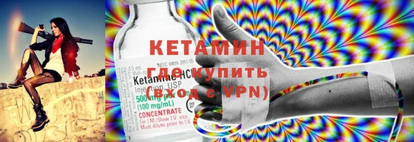 ПСИЛОЦИБИНОВЫЕ ГРИБЫ Новозыбков