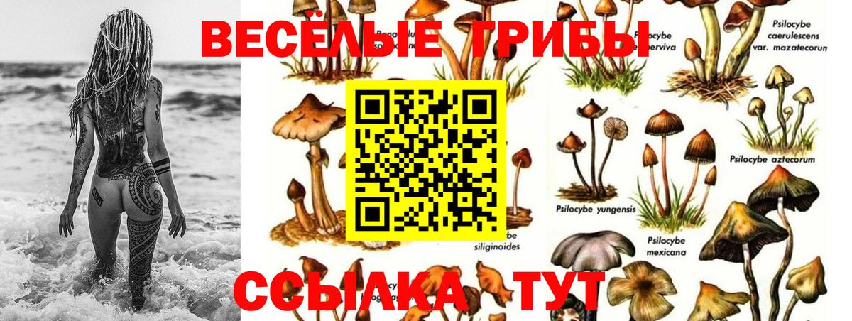 Псилоцибиновые грибы мухоморы Ишим